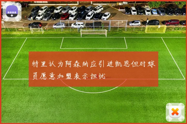 特里认为阿森纳应引进凯恩但对球员愿意加盟表示担忧