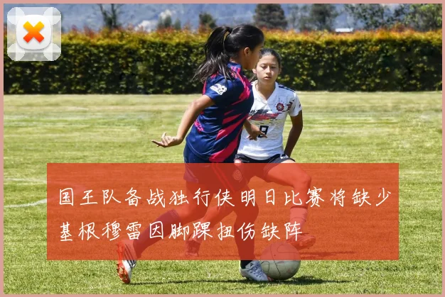 国王队备战独行侠明日比赛将缺少基根穆雷因脚踝扭伤缺阵
