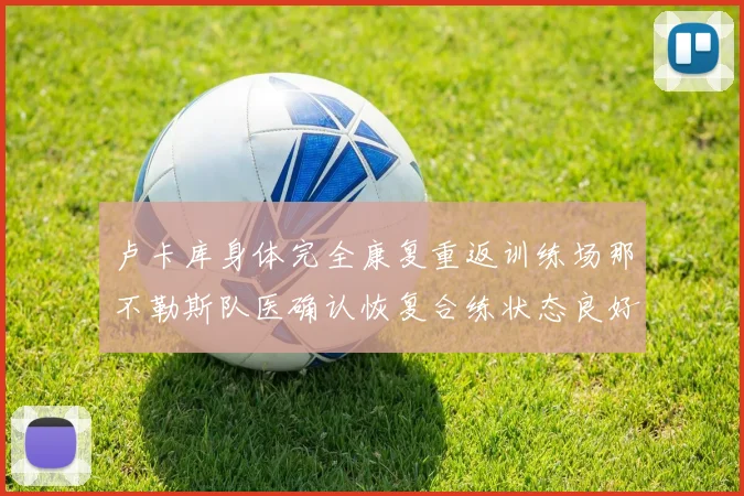 卢卡库身体完全康复重返训练场那不勒斯队医确认恢复合练状态良好